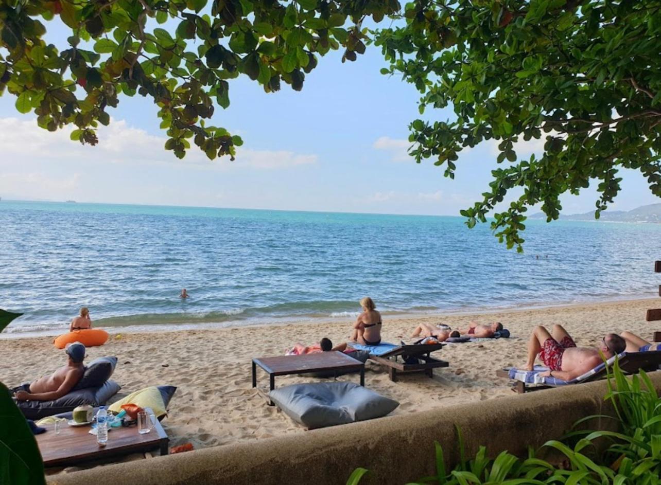 Chill Inn Lipa Noi Hostel And Beach Cafe Szamuj-sziget Kültér fotó